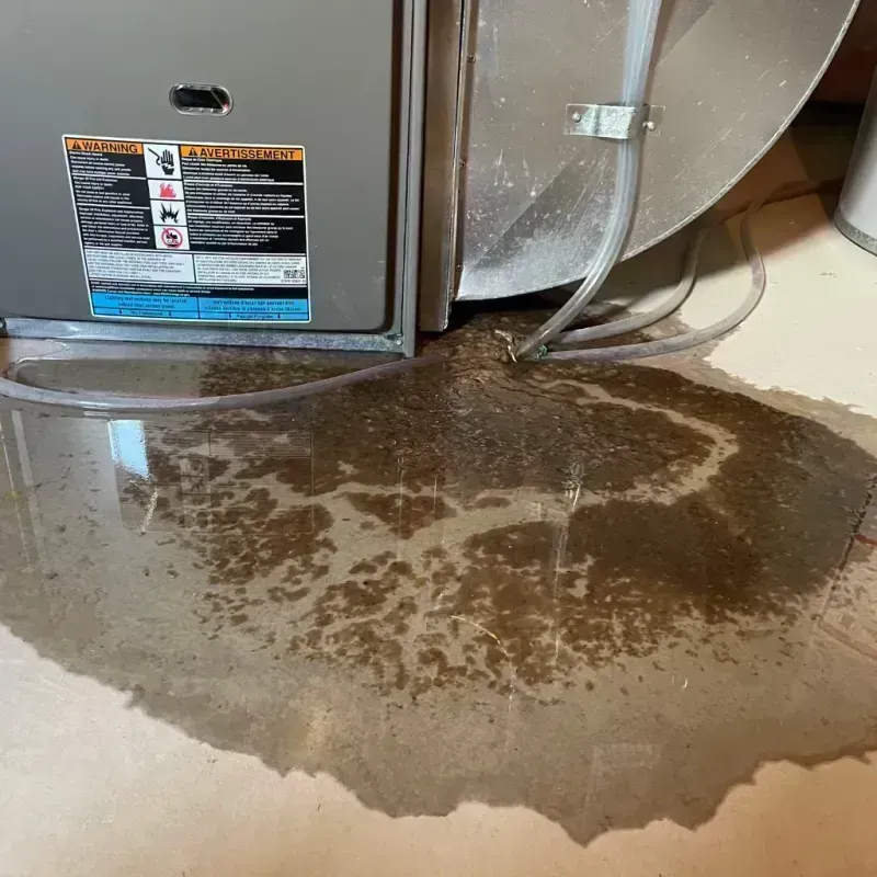 Appliance Leak Cleanup in Macoupin County, IL